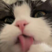 对在在保持复制粘贴