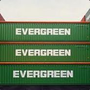 EVERGREEN.