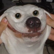 - F l u k P h i t s a n u -