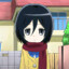 mikasa