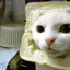 Inbread Cat