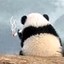 小陆呀