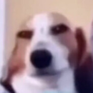 lwkey910 premium.llg.ro