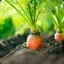 [🥕] kaimbe