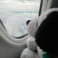 Newbie's avatar