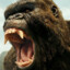 KINGKONG