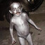 robson mauricio
