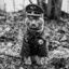Adolf KITTler
