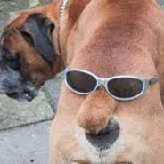 Jtizzle - steam id 76561198238710278