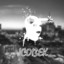 JCOI3EK