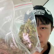 隼麻