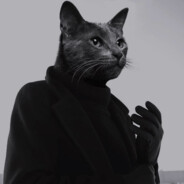 你和清风皆是过客