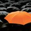 Ambrella