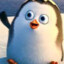 @PENGUIN