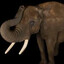 ElatedElephant
