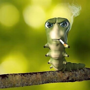 амбассадор2010