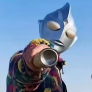 流水无心恋落花