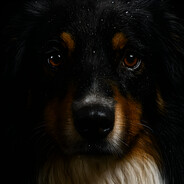 AndyMG - steam id 76561197961208457