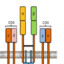 T-Cell Receptor