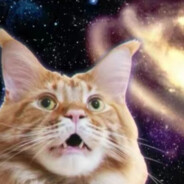 原切猫毛马铃薯