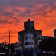 懒猫的狮子倒影