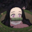 思无邪