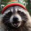Reggae Racoon.    CASES.GIFT