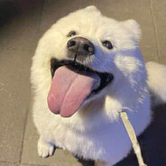 w szufladzie mam chleb i wafle