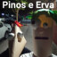 Pinos E Erva