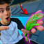 Iguana do Windoh