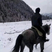 喜羊羊大战光头强