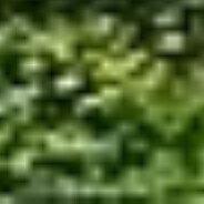 牛爷爷随我冲锋