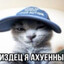 zavet