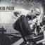 danilolinkinparkin77