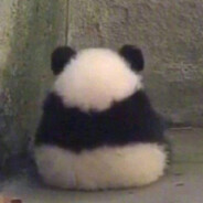 谁偷了我的小狗