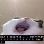 你的肚子不会饿吗