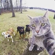 Big Avatar