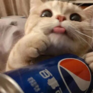 你怎么知道我同花顺