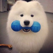 Big Avatar