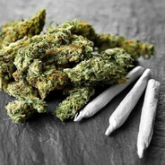 МЕДВЕЖАТНИК