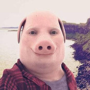 Papitto
