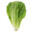 lettuce enthusiast's Avatar
