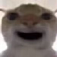 宇宙无敌凤凰爆裂冲击