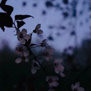 E҉ I ҉S҉ ҉K ҉O ҉T҉ ҉Z҉