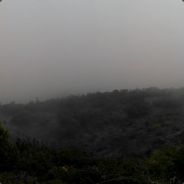 olympicgamer001
