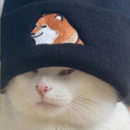 Cat? - steam id 76561198400488808