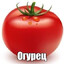 Опельсин