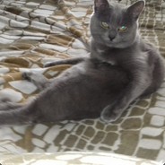 2 В ПАТИ МАТЬ В КАНАВЕ