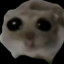 Matvei