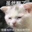 凭实力白给